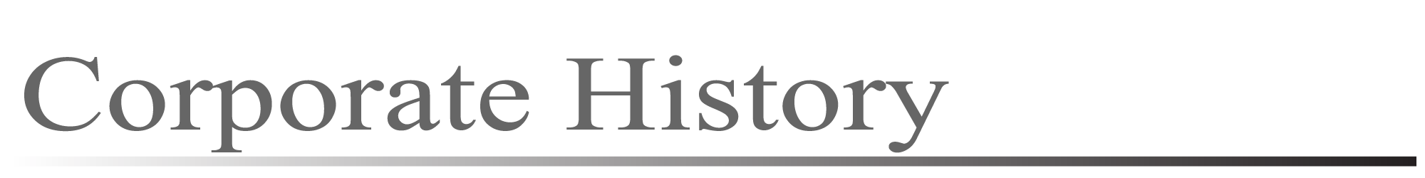 Corporate History 沿革